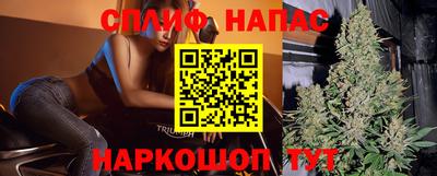 мдпв Славянск-на-Кубани